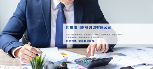 成功案例 财务咨询如何助力企业实现逆势增长